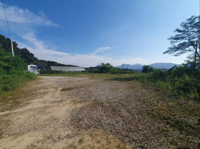 충북 옥천군 옥천읍 동안리 75-1 임야 사진 6