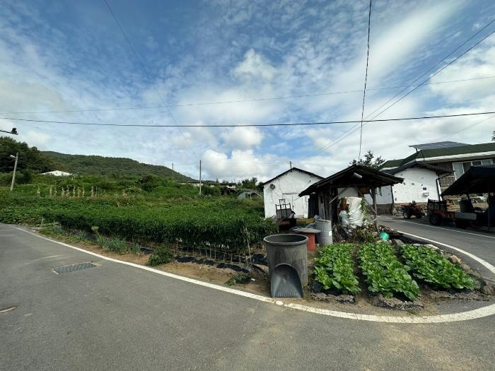 충북 증평군 도안면 노암리 530-1 전 경매 물건 사진
