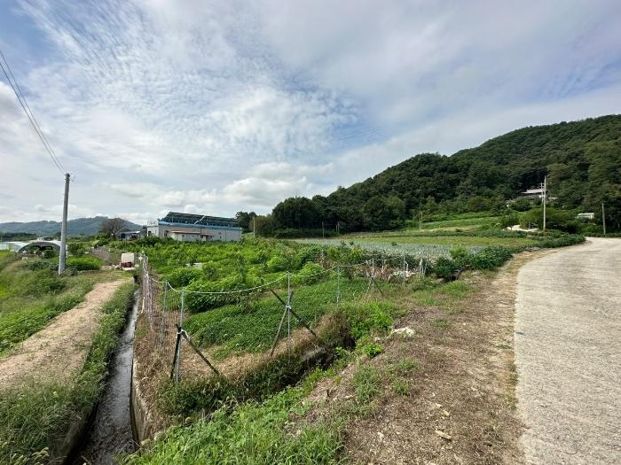 충북 증평군 도안면 노암리 530-1 전 사진 2