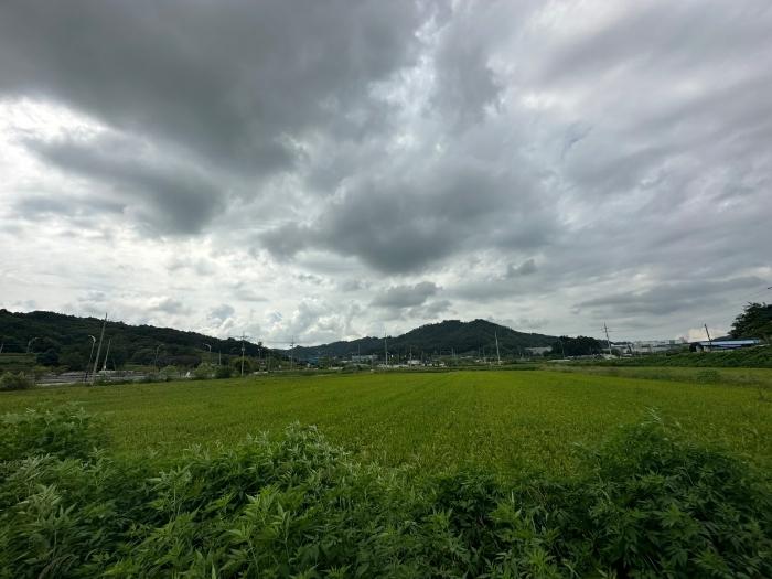 충북 증평군 도안면 노암리 530-1 전 사진 3