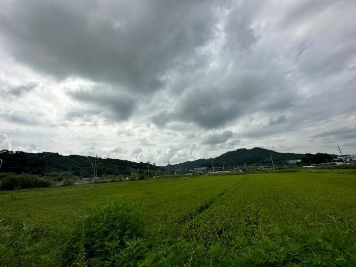충북 증평군 도안면 노암리 530-1 전 사진 5