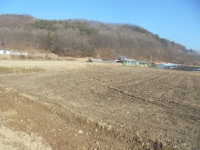 충북 충주시 앙성면 강천리 229-5 답 경매 물건 사진