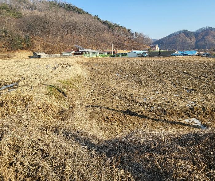 충북 충주시 앙성면 강천리 229-5 답 사진 2