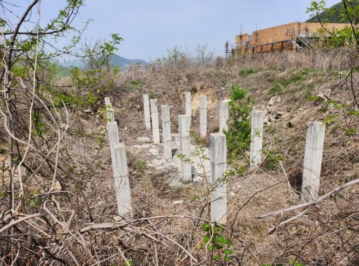 충북 제천시 송학면 시곡리 555-1 임야 사진 5