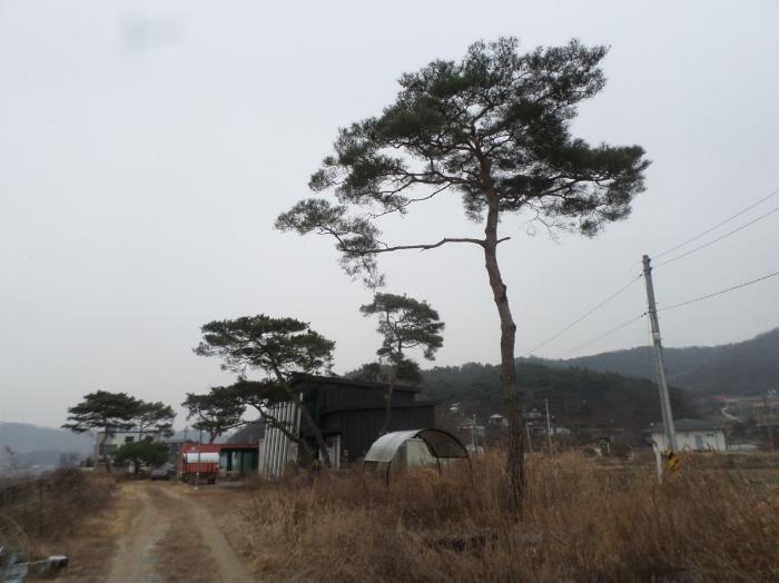 충북 충주시 앙성면 조천리 46-2 주택 사진 6