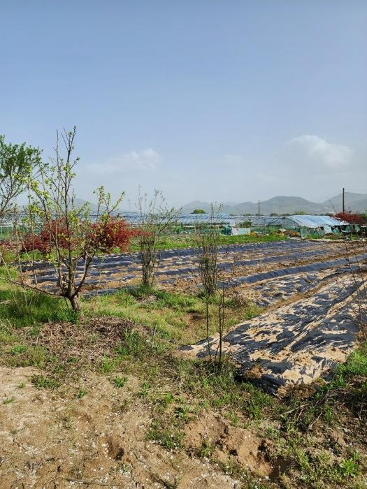 충북 충주시 용관동 143-1 창고 사진 2