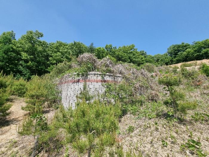 충북 충주시 앙성면 사미리 산20-2 임야 사진 6