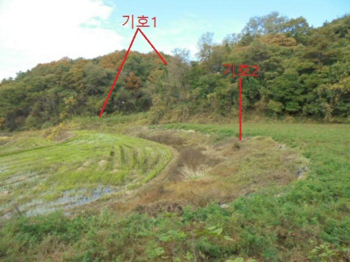 충북 제천시 산곡동 47 답 사진 2
