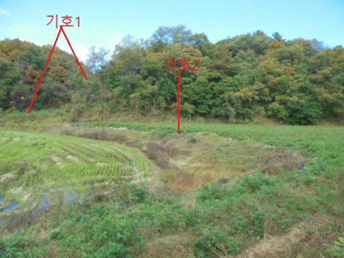 충북 제천시 산곡동 47 답 사진 5