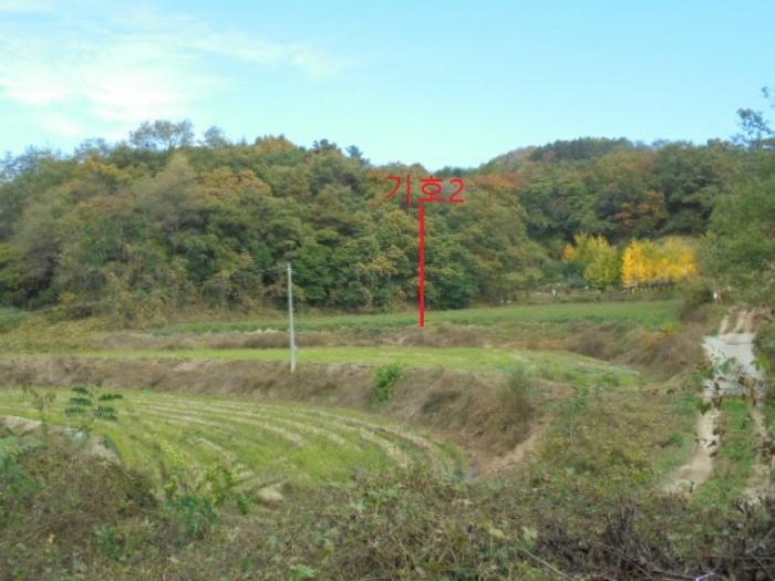 충북 제천시 산곡동 47 답 사진 6