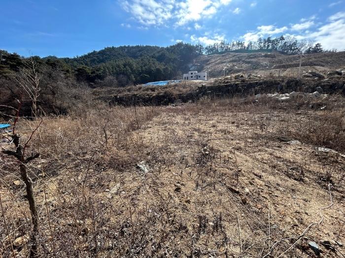 충북 청주시 상당구 가덕면 한계리 산38-14 전 경매 물건 사진