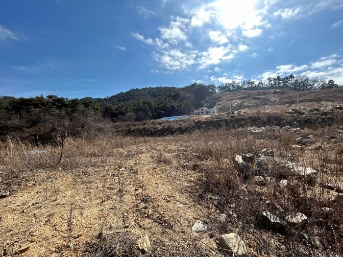 충북 청주시 상당구 가덕면 한계리 산38-14 전 사진 2