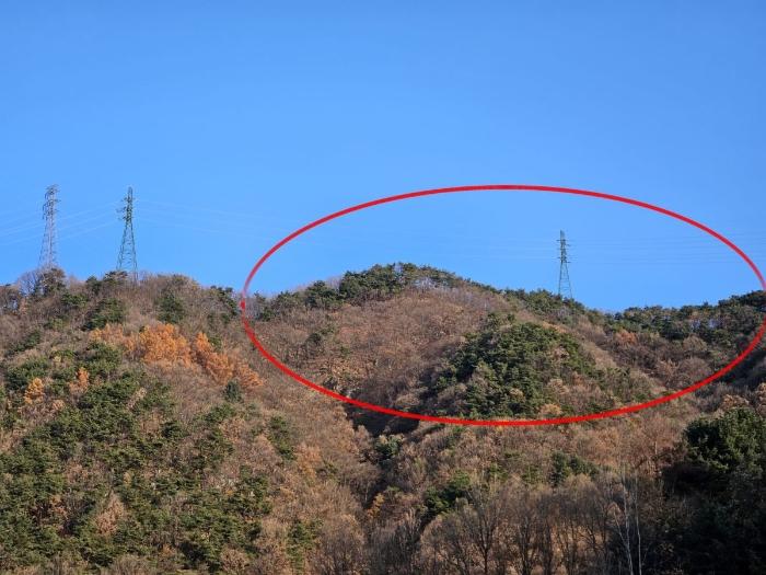 충북 충주시 호암동 산24-3 임야 경매 물건 사진