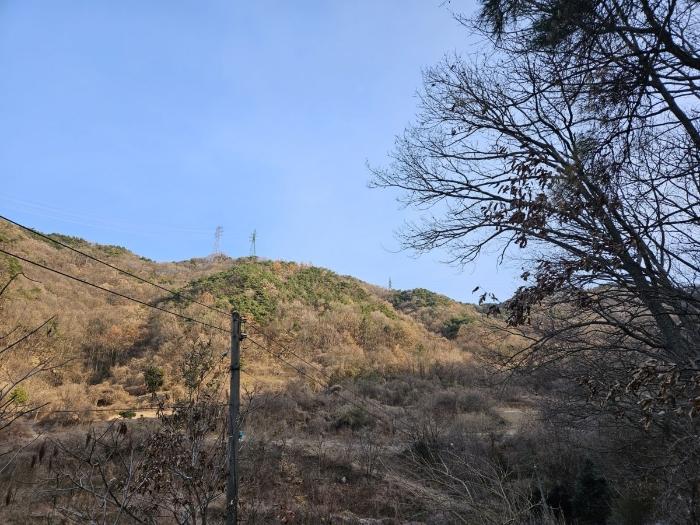 충북 충주시 호암동 산24-3 임야 사진 2