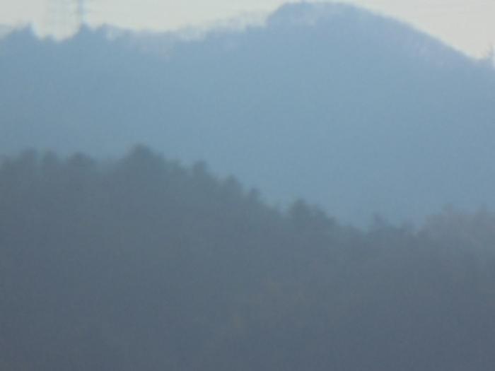 충북 충주시 호암동 산24-3 임야 사진 3