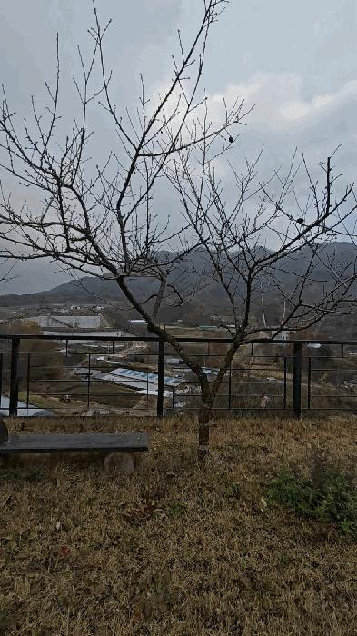 충북 옥천군 군북면 증약리 1169 주택 사진 6