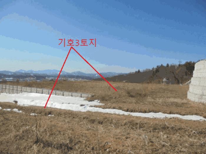 충북 제천시 봉양읍 미당리 산66-1 임야 경매 물건 사진