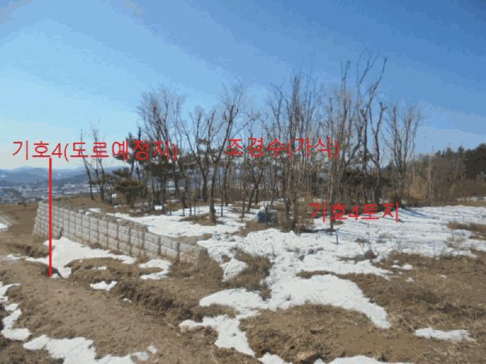 충북 제천시 봉양읍 미당리 산66-1 임야 사진 4