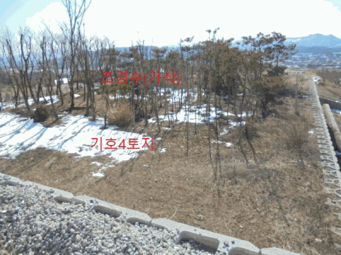 충북 제천시 봉양읍 미당리 산66-1 임야 사진 6