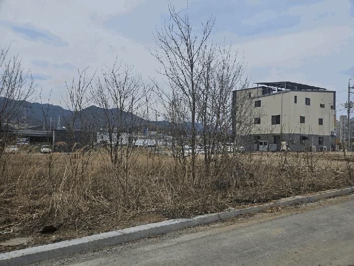 충북 제천시 왕암동 88-2 임야 사진 3