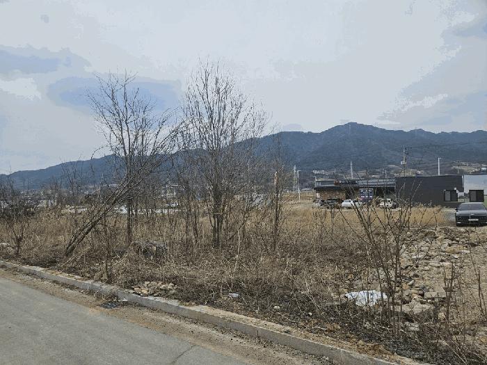 충북 제천시 왕암동 88-2 임야 사진 5
