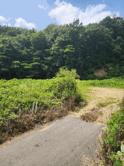 충북 음성군 감곡면 상우리 189-10 임야 경매 물건 사진