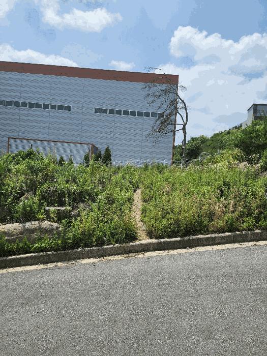 충북 음성군 감곡면 상우리 189-10 임야 사진 3