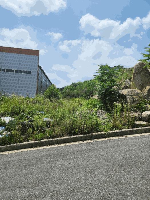 충북 음성군 감곡면 상우리 189-10 임야 사진 4