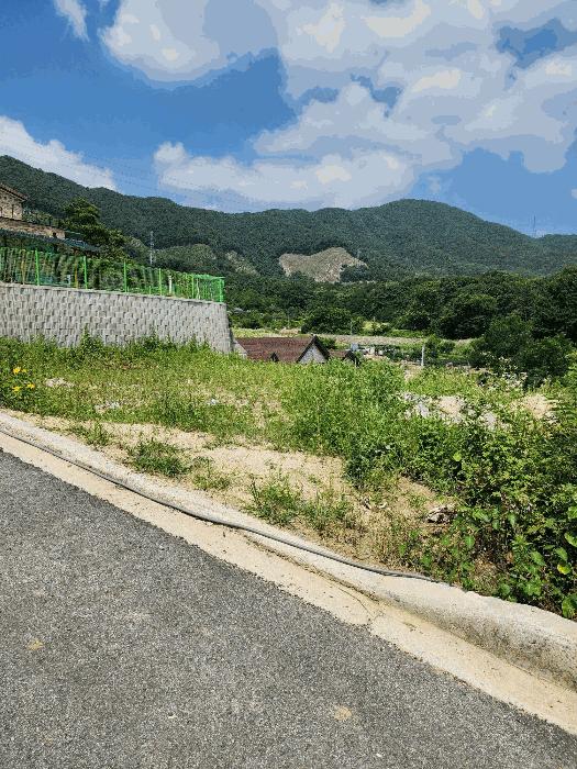 충북 음성군 감곡면 상우리 189-10 임야 사진 5