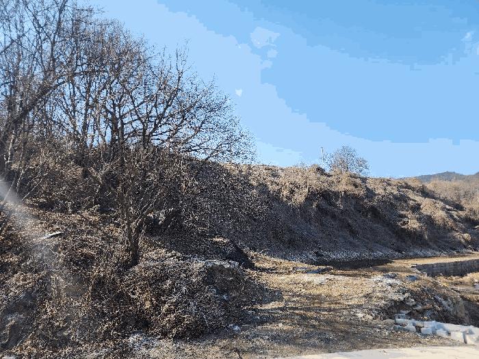 충북 괴산군 연풍면 삼풍리 522-3 전 경매 물건 사진