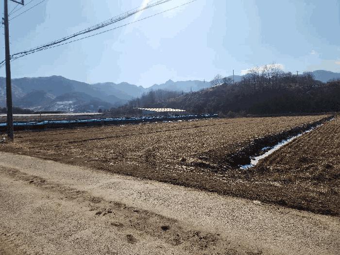 충북 괴산군 연풍면 삼풍리 522-3 전 사진 2