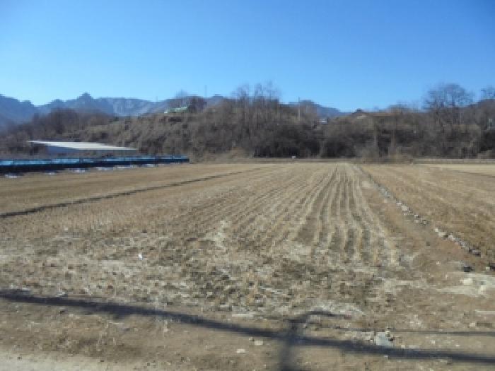 충북 괴산군 연풍면 삼풍리 522-3 전 사진 5