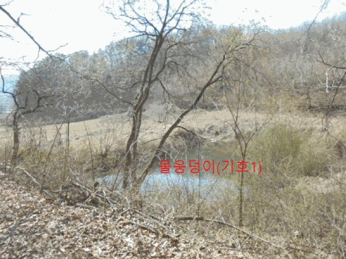 충북 제천시 봉양읍 장평리 637 전 사진 2