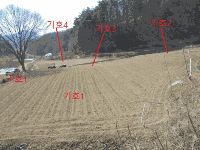 충북 제천시 봉양읍 장평리 637 전 사진 3