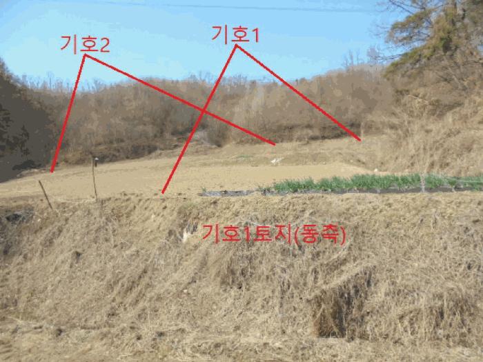 충북 제천시 봉양읍 장평리 637 전 사진 4