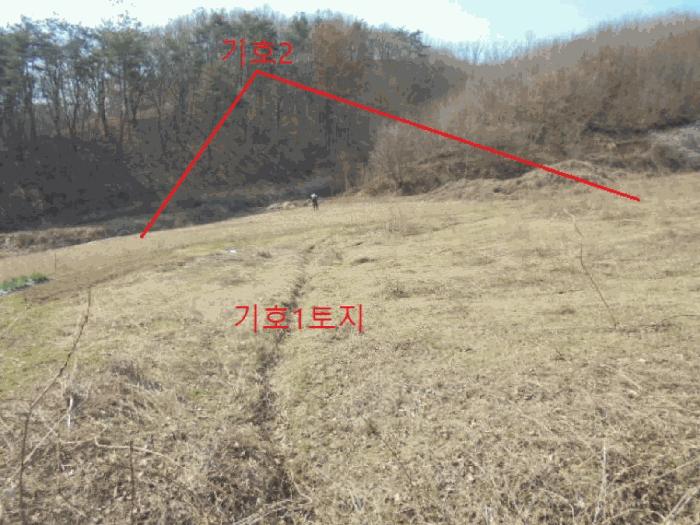 충북 제천시 봉양읍 장평리 637 전 사진 5