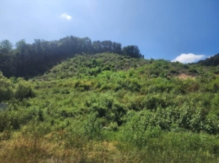 충북 보은군 보은읍 강산리 44-4 장례관련시설 사진 4
