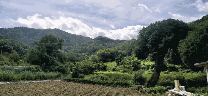 충북 음성군 음성읍 용산리 1570 전 경매 물건 사진