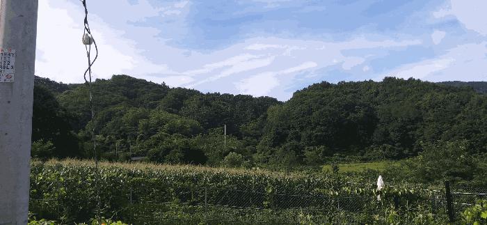 충북 음성군 음성읍 용산리 1570 전 사진 2