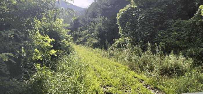 충북 음성군 음성읍 용산리 1570 전 사진 4