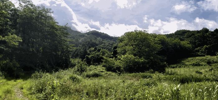 충북 음성군 음성읍 용산리 1570 전 사진 6