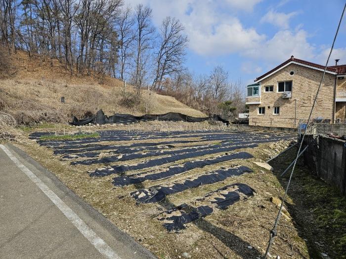 충북 증평군 도안면 화성리 217 대지 경매 물건 사진