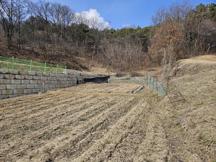 충북 증평군 도안면 화성리 217 대지 사진 2