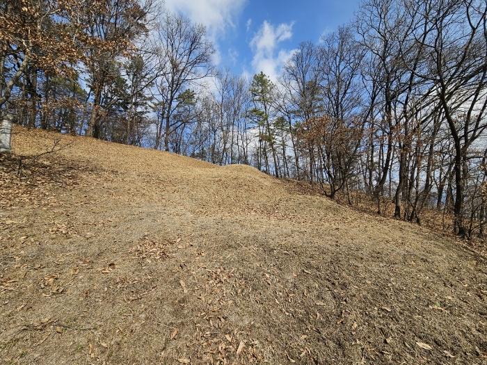 충북 증평군 도안면 화성리 217 대지 사진 5