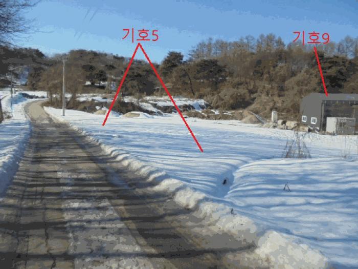 충북 충주시 신니면 광월리 534 답 사진 6
