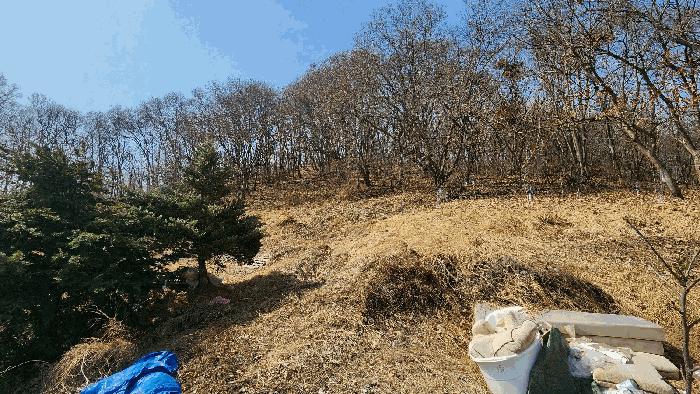 충북 음성군 생극면 관성리 176-2 임야 사진 3