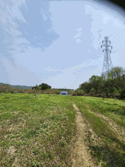 충북 충주시 앙성면 능암리 597 전 경매 물건 사진