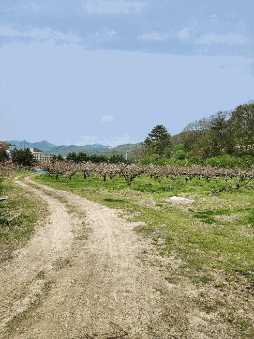 충북 충주시 앙성면 능암리 597 전 사진 5