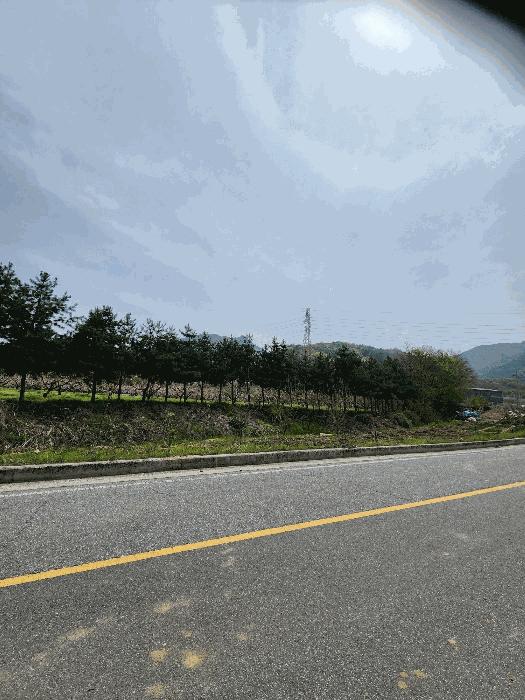충북 충주시 앙성면 능암리 597 전 사진 6