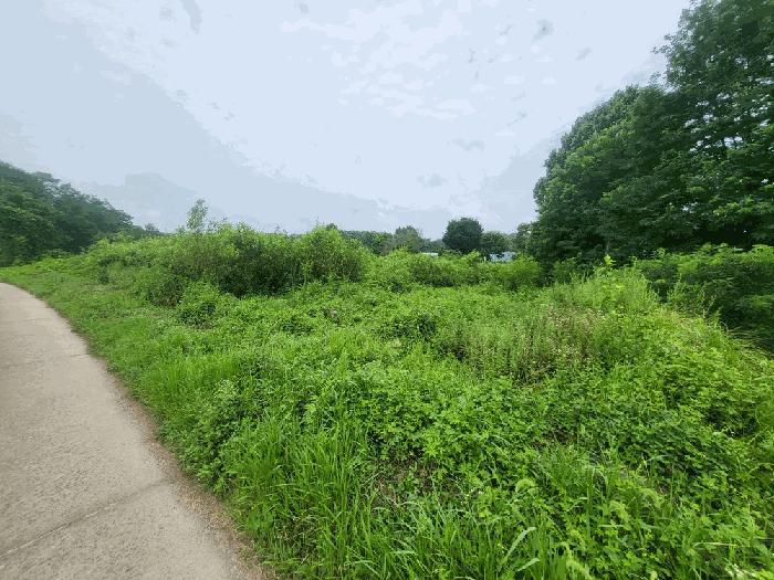 충북 진천군 덕산읍 신척리 193 답 경매 물건 사진